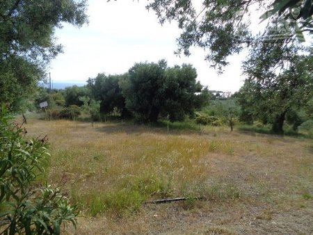 Parcel of land for Sale -  Sithonia