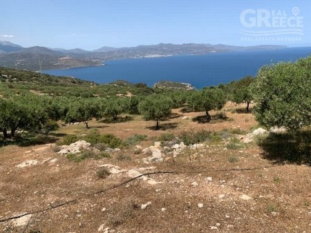 Building Plot for Sale -  Agios Nikolaos