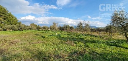 Parcel of land for Sale -  Andritsena-Krestenon