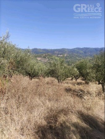 Parcel of land for Sale -  Zaxaro