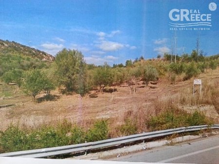 Parcel of land for Sale -  Archea Olimpia