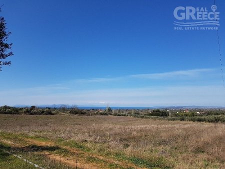 for Sale Parcel of land Chanakia (code PM-103)