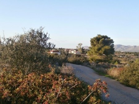 Plot for Sale -  Chania