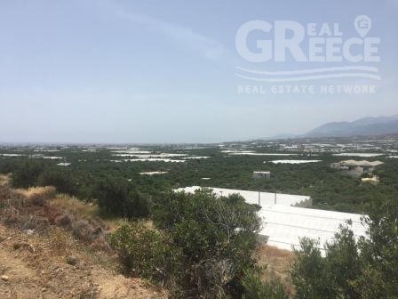 Земельный Участок Продажа -  Ierapetra