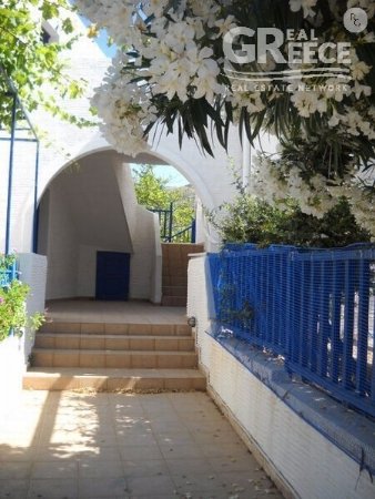 Maisonette for Rent - Andros Andros