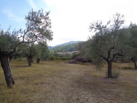 Parcel of land for Sale -  Sithonia