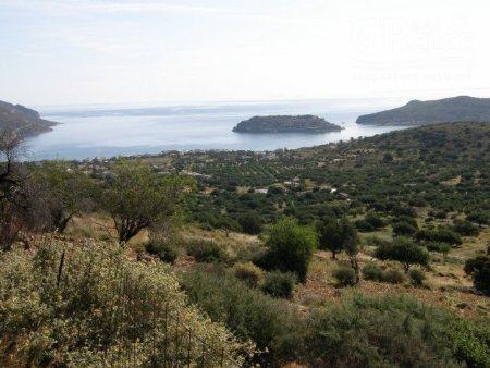 Verkaufen Baugrundstück Agios Nikolaos (Code CXX-878)
