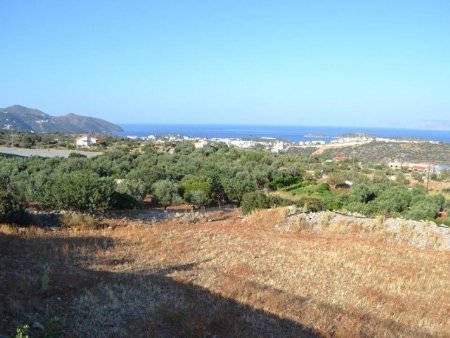 Verkaufen Baugrundstück Agios Nikolaos (Code CXX-781)