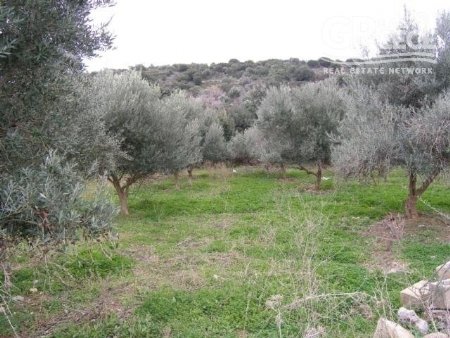 Земельный Участок Продажа -  Agios Nikolaos